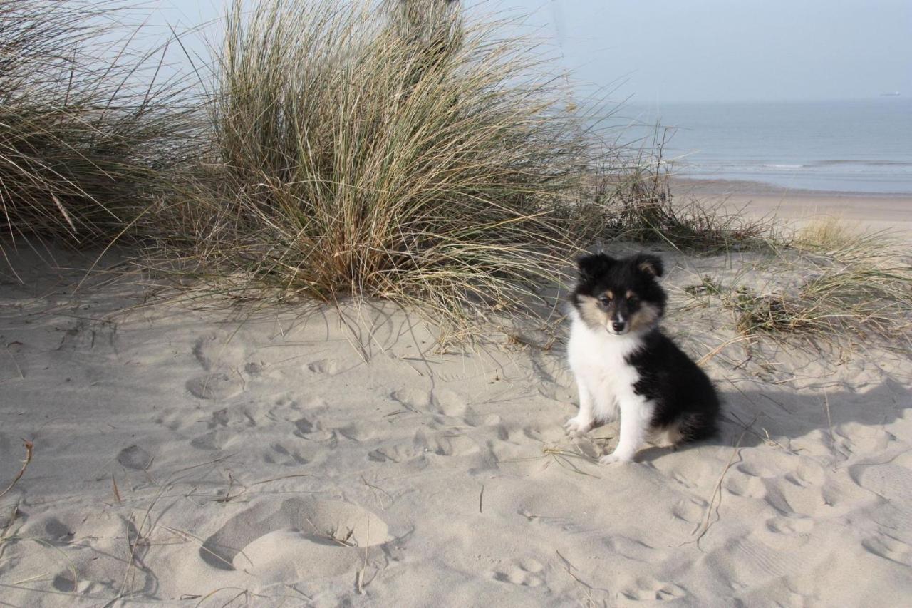 Abc Hotel Blankenberge Zewnętrze zdjęcie
